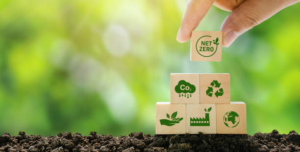 About EcoCarbon Solutions