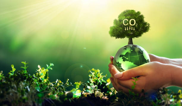 Real-time Carbon Tracking