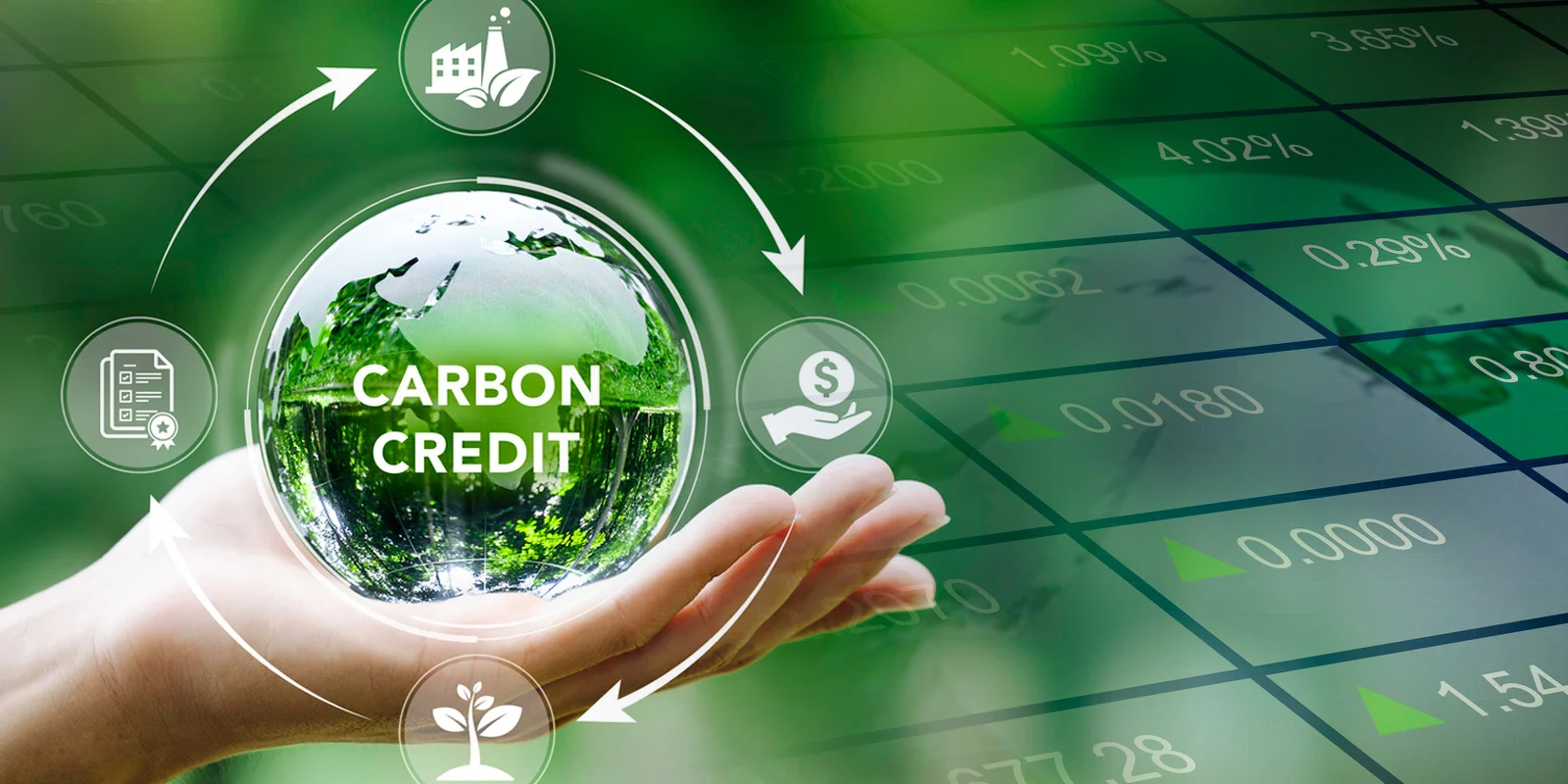 Data-driven Sustainability Reports